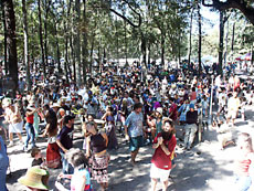 Magnoliafest Crowd (c) John Cutliffe 2003